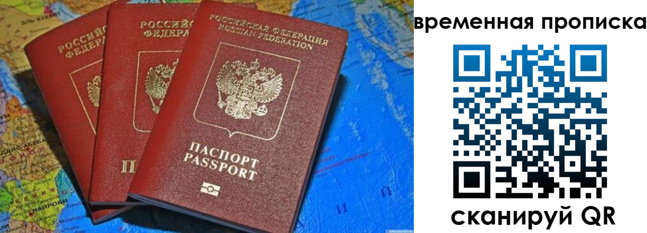 прописка в квартире в Ленинградской области